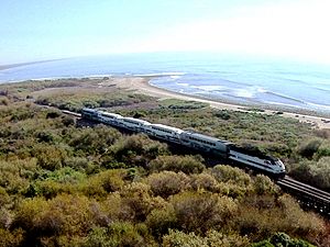 Metrolink Trestles Beach S