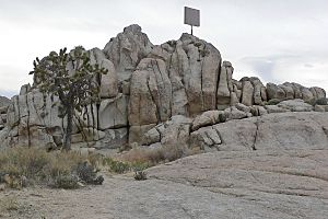 Mojave Memorial Cross 1