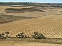 Montealegre paisaje de campo segado y zonas verdes ni.jpg