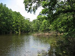 Mule jail lake.jpg