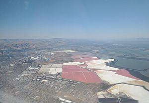 Newark, California salt ponds