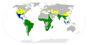 Nycticorax nycticorax map.svg