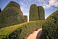 Packwood Yew Garden 2019