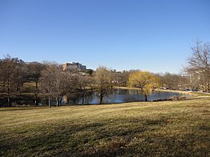 Potter Lake