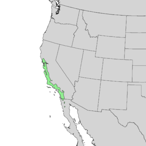 Quercus agrifolia range map 1.png