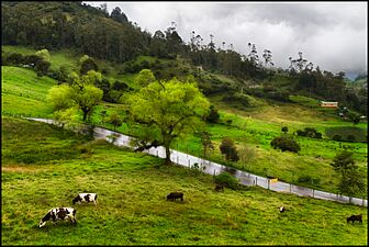 Road to Choachi, Colombia (7654907444)