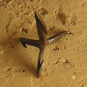 Roman caltrop