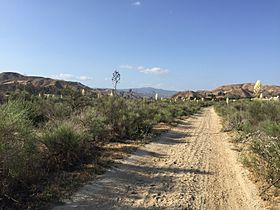 San Francisquito Canyon2015