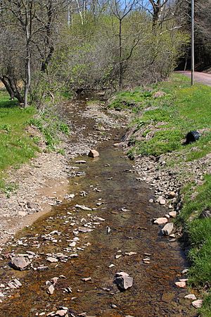 Shepman Run looking upstream