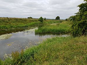 Slate river mouth