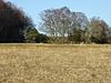 St Dunstan's Farm Meadows