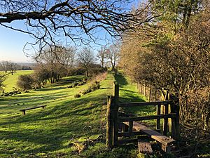 Stane Street revisited (geograph 6381631)