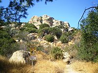 Stoney Point Outcroppings