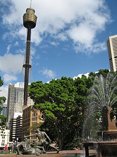 SydneyAMPTowerArchibaldFountain gobeirne