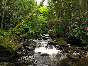 Torc Waterfall at Killarney National Park2