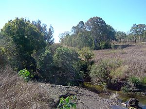 Upper Bremer River