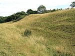 Part of the linear boundary known as the Wansdyke 420 m south west of Barrowmead Cottage