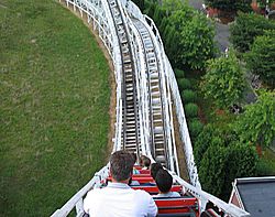 Wildcat Coaster.jpg