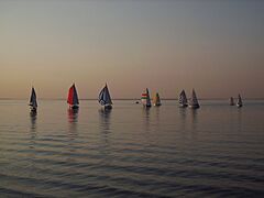 Zeilwedstrijd Wemeldinge - panoramio