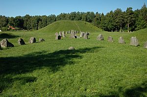 Anundshög, Västerås1004