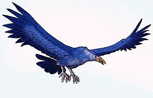 Argentavis magnificens.JPG