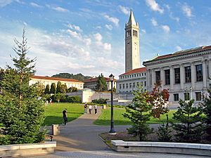 Berkeley glade afternoon