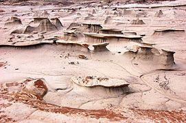 Bisti Wilderness Area