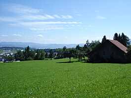 Blick Rotkreuz11.jpg