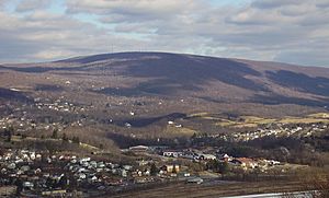 Brush mountain