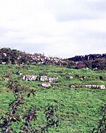 Caherminnaun Castle, Site of.jpg