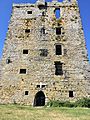 Carrigahold Castle profile