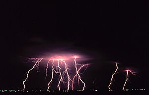 Cloud-to-ground lightning2 - NOAA