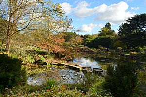 Cmglee Cambridge botanic garden lake