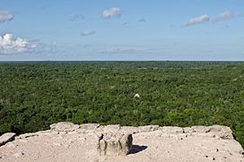 Cobá - 11.jpg