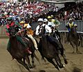 Corsa Palio di Asti