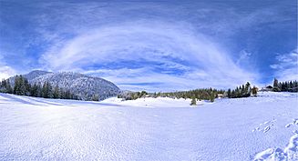 Couvaloup De St Cergue