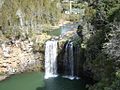 Dangar Falls Dorrigo (1)