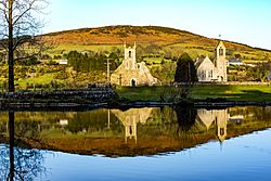 Digital Eye–2015–Baltinglass Abbey.jpg