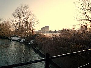 Ealing Hospital from the River Brent - geograph.org.uk - 1186079