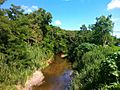 El Río Piedras