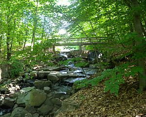 Flat Rock Brook dam jeh