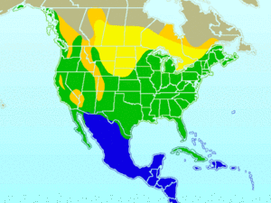 Great Blue Heron-rangemap.gif