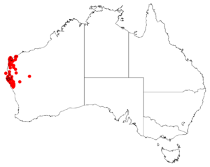 Hakea stenophyllaDistMap131.png