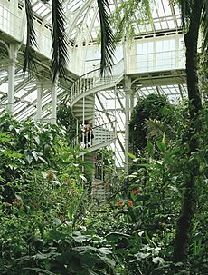 Kew Palm House