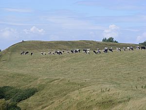 Maes Knoll Tump