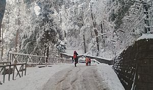 Murree,pakistan