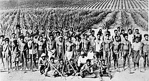 Nla pic-an24494586 south sea islanders.jpg