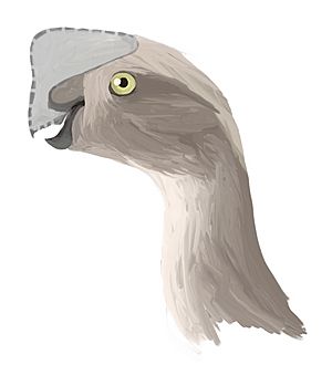 Oviraptor digital1.jpg