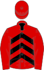 Red, black chevrons on body