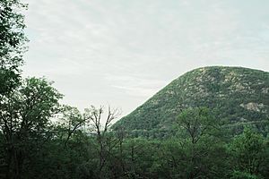 Palisades Interstate Parkway I